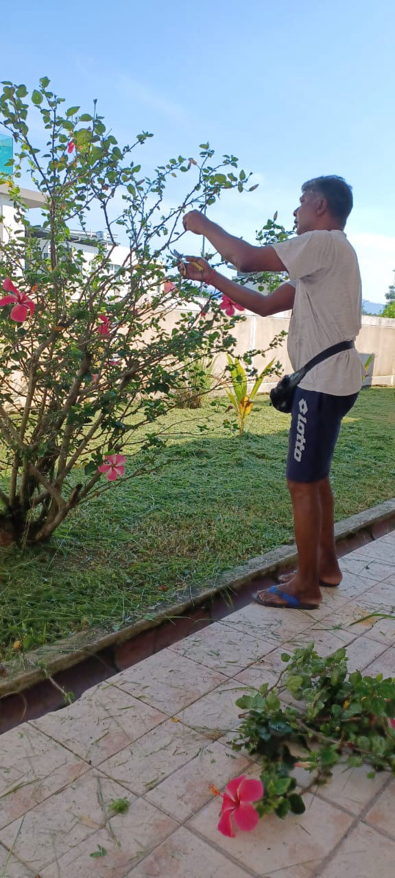 Mobirise Website Builder